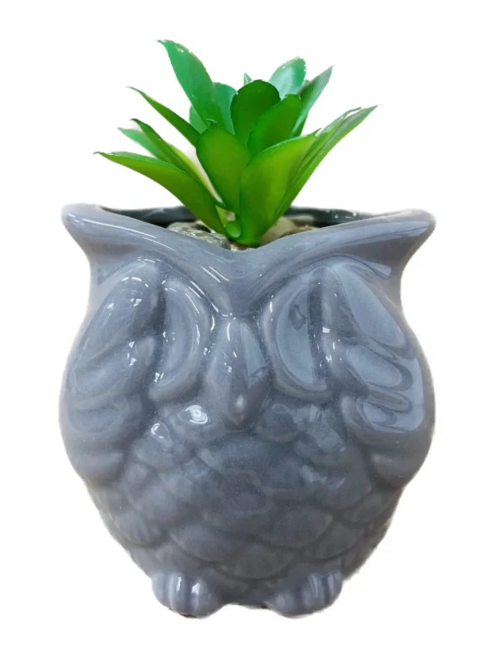 Gray Ceramic Owl Planter with Green Succulent